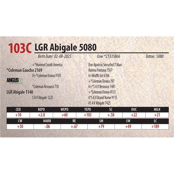 LGR Abigale 5080