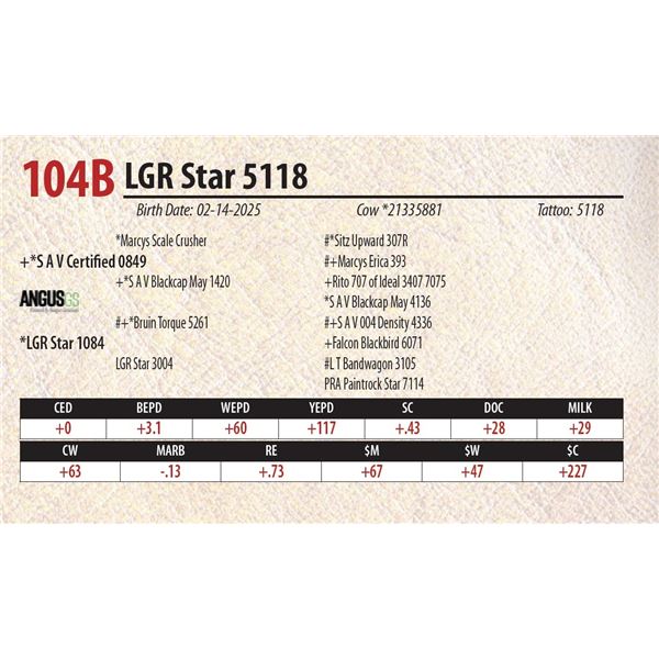 LGR Star 5118