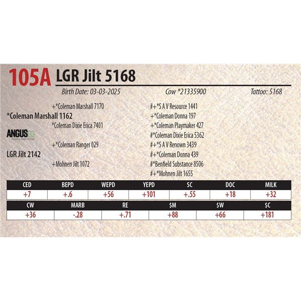 LGR Jilt 5168