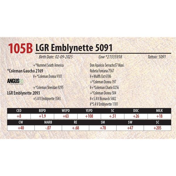 LGR Emblynette 5091