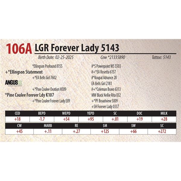 LGR Forever Lady 5143