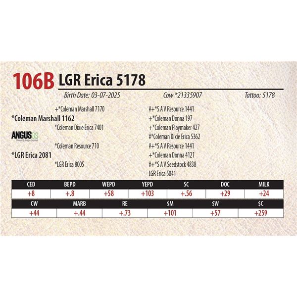 LGR Erica 5178