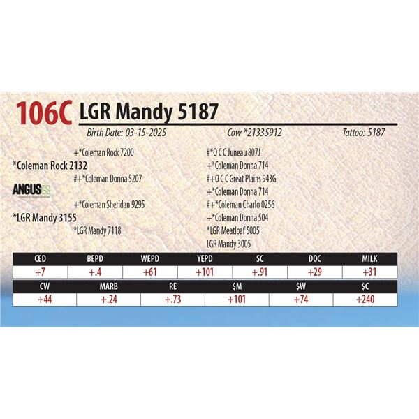 LGR Mandy 5187
