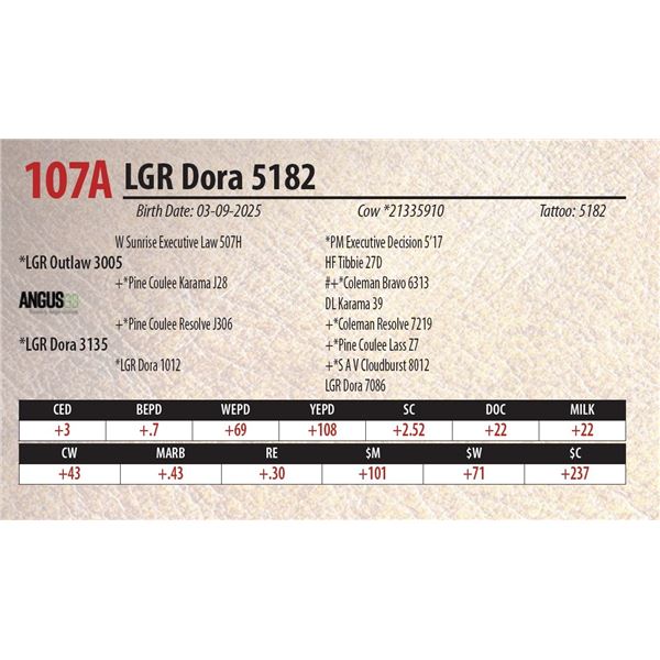 LGR Dora 5182