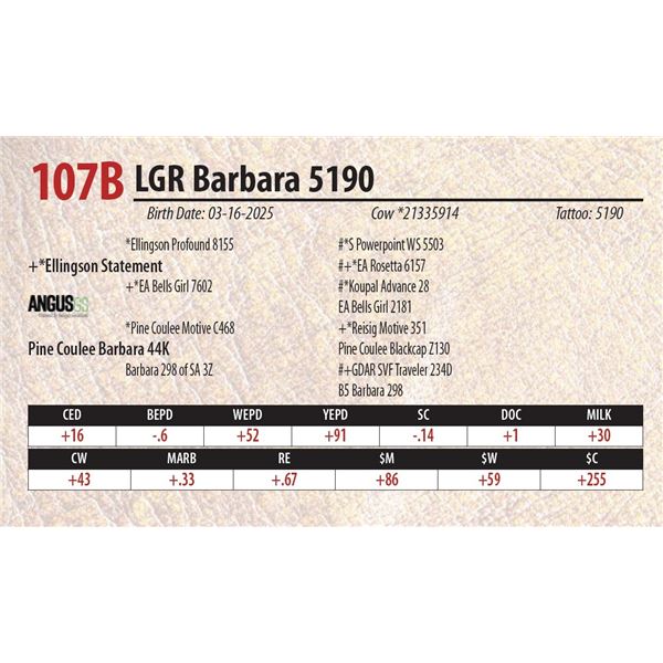 LGR Barbara 5190