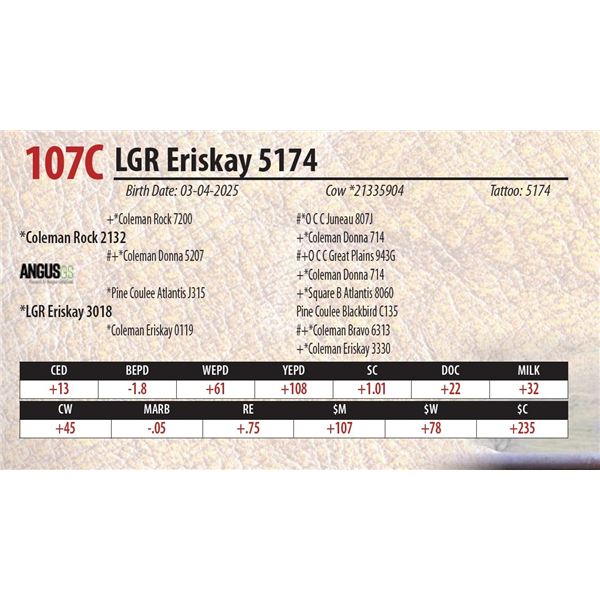 LGR Eriskay 5174