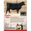 Image 1 : DONATION HEIFER - LGR Majesty 5183