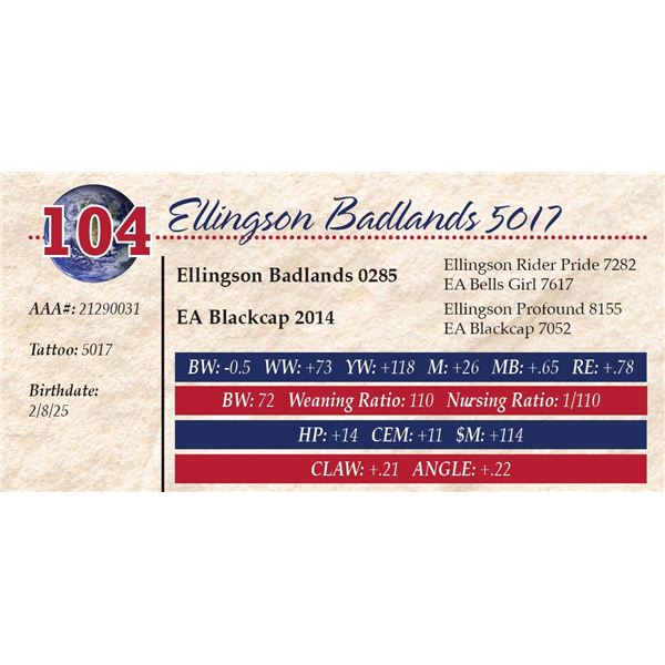 Ellingson Badlands 5017