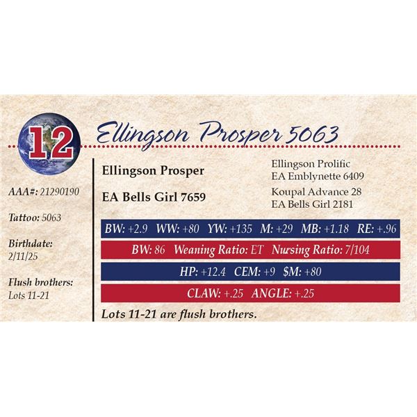 Ellingson Prosper 5063