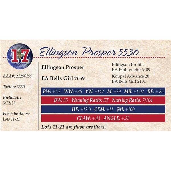 Ellingson Prosper 5530