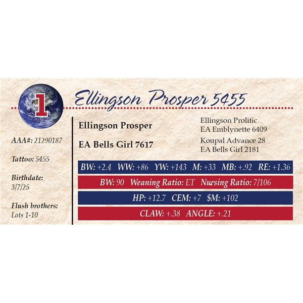 Ellingson Prosper 5455