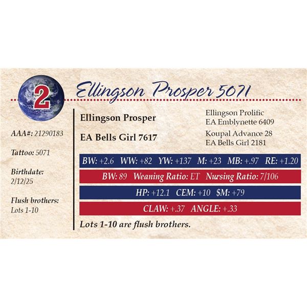 Ellingson Prosper 5071