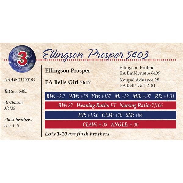 Ellingson Prosper 5403