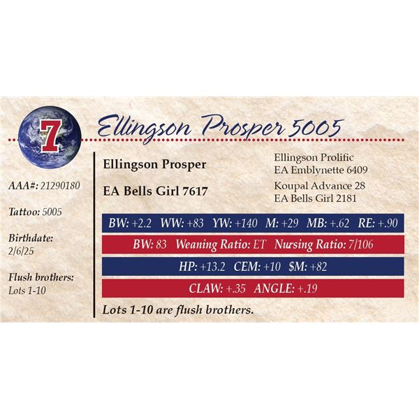 Ellingson Prosper 5005