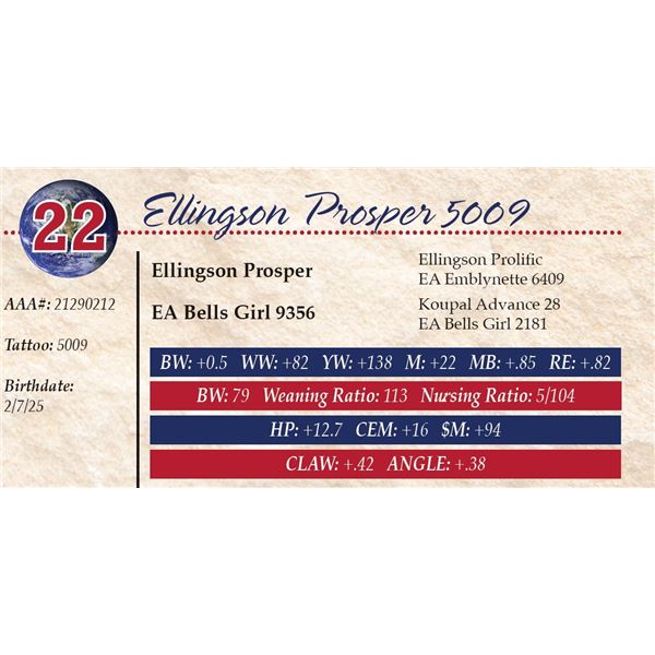 Ellingson Prosper 5009