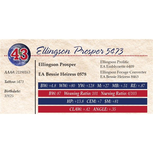 Ellingson Prosper 5473