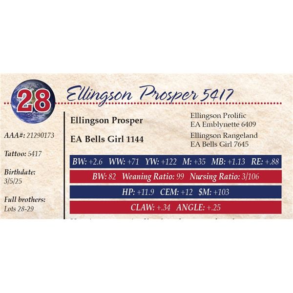 Ellingson Prosper 5417