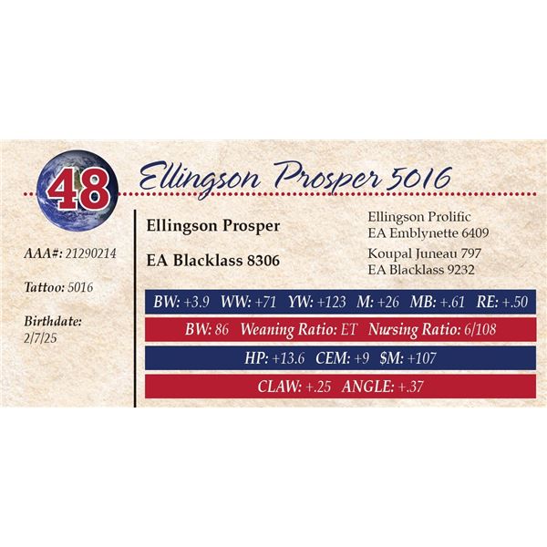 Ellingson Prosper 5016