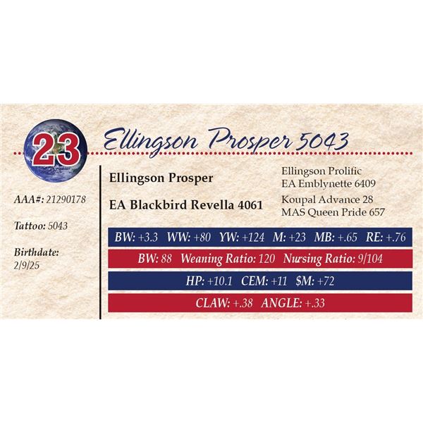 Ellingson Prosper 5043