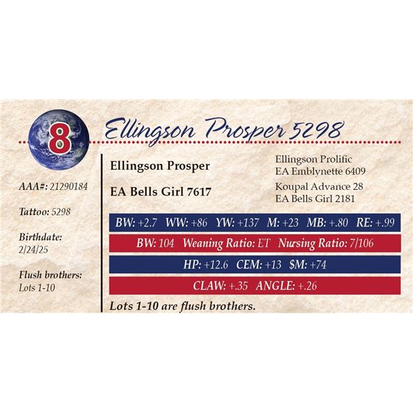 Ellingson Prosper 5298