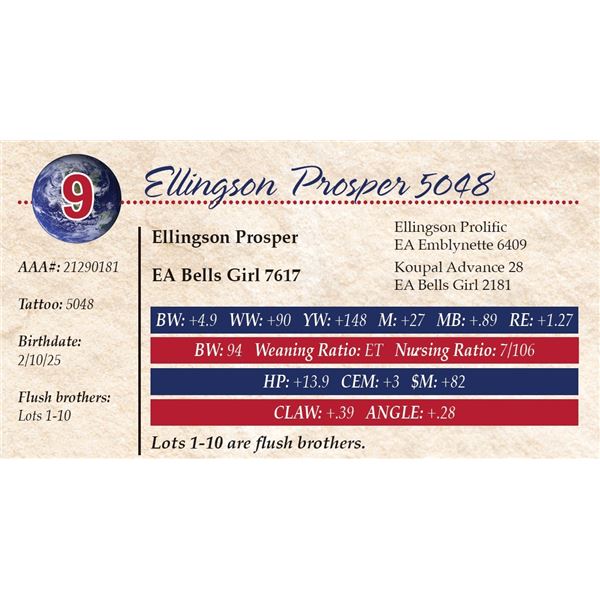 Ellingson Prosper 5048