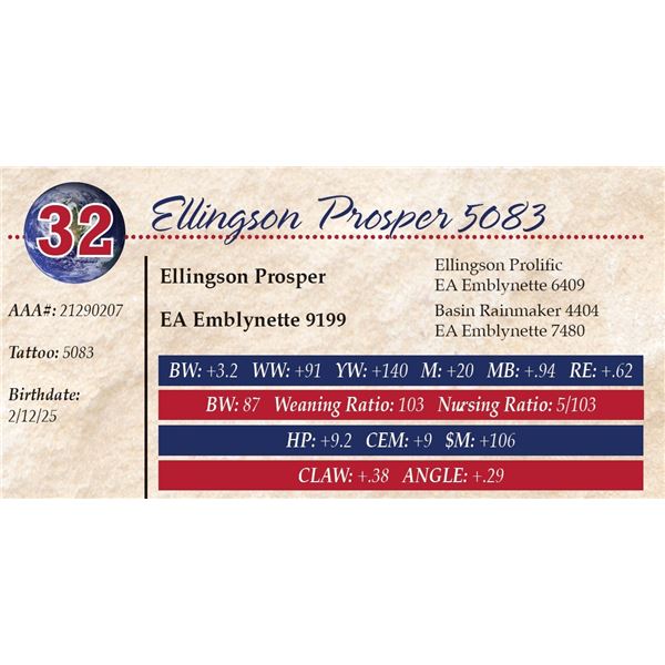 Ellingson Prosper 5083