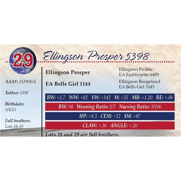 Ellingson Prosper 5398