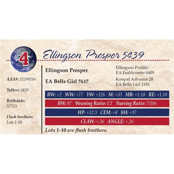 Ellingson Prosper 5439