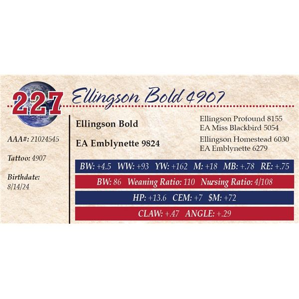 Ellingson Bold 4907