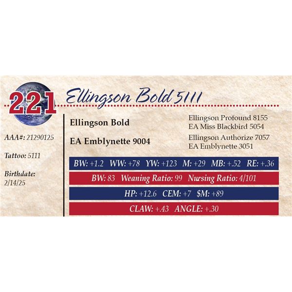 Ellingson Bold 5111
