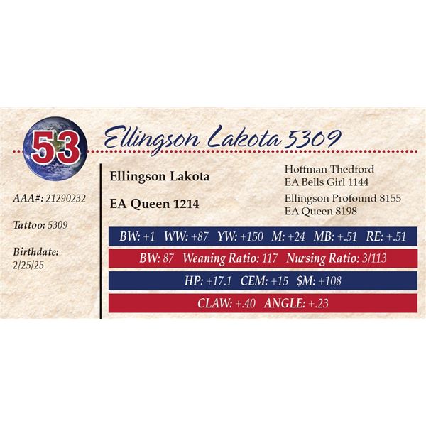 Ellingson Lakota 5309