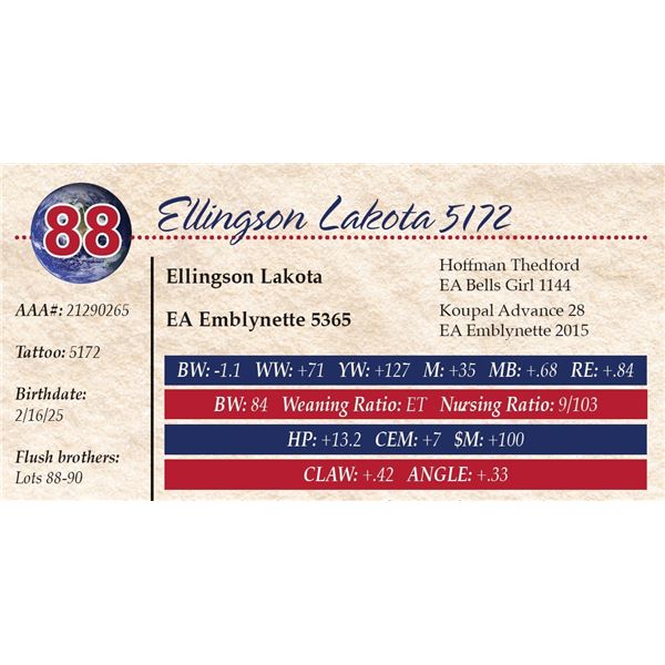 Ellingson Lakota 5172