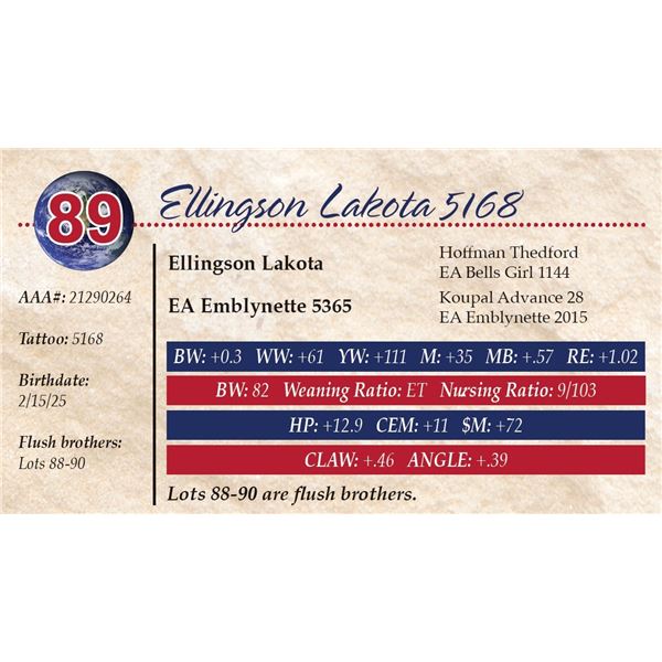 Ellingson Lakota 5168