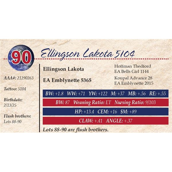 Ellingson Lakota 5104