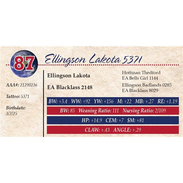 Ellingson Lakota 5371