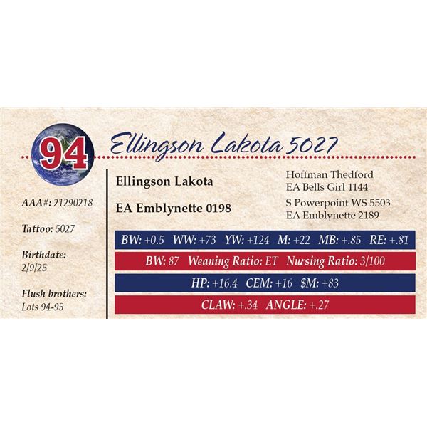 Ellingson Lakota 5027