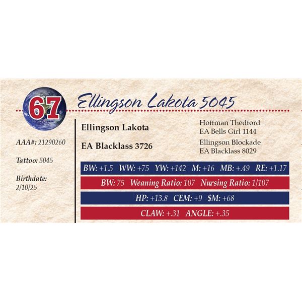 Ellingson Lakota 5045