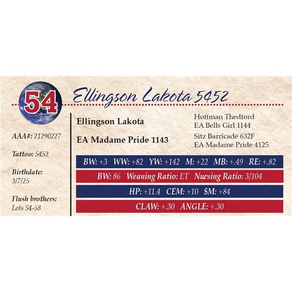 Ellingson Lakota 5452