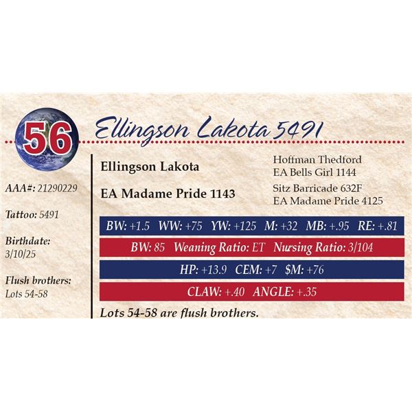 Ellingson Lakota 5491