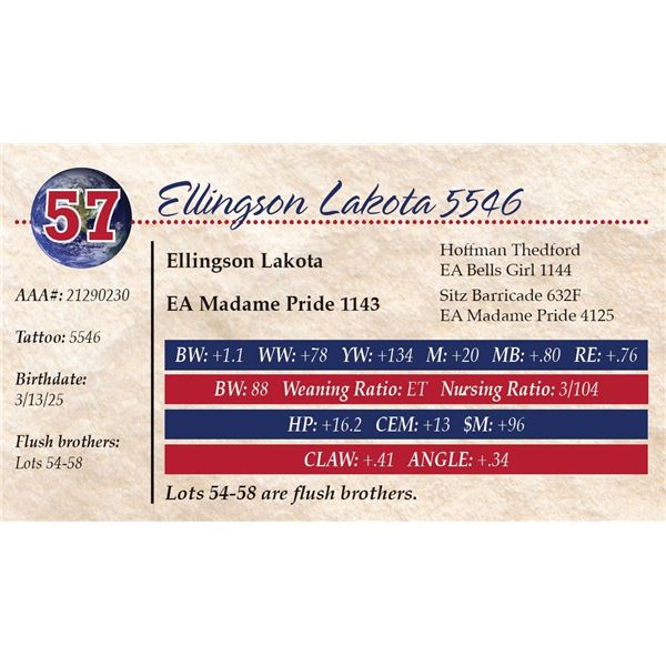 Ellingson Lakota 5546