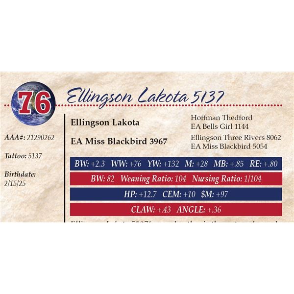 Ellingson Lakota 5137