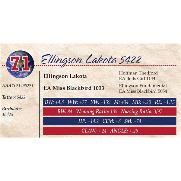 Ellingson Lakota 5422