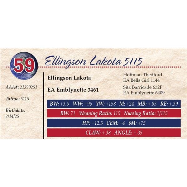 Ellingson Lakota 5115