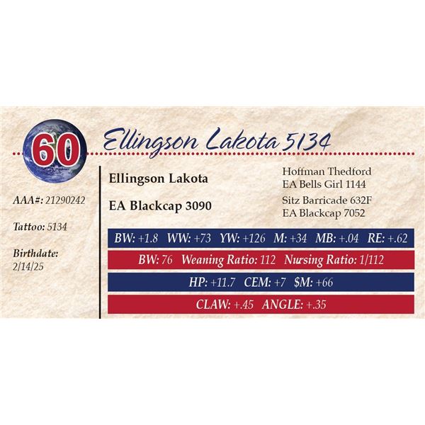 Ellingson Lakota 5134