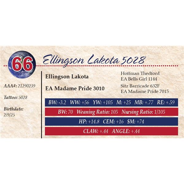 Ellingson Lakota 5028