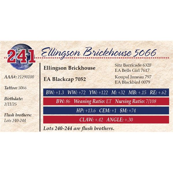 Ellingson Brickhouse 5066