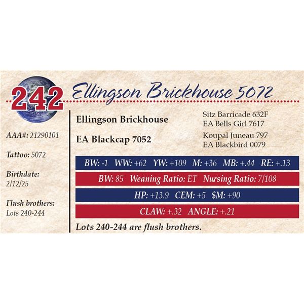 Ellingson Brickhouse 5072