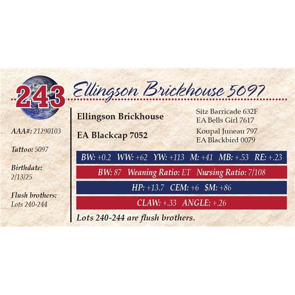 Ellingson Brickhouse 5097