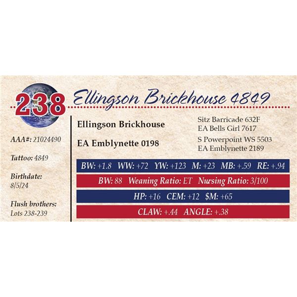 Ellingson Brickhouse 4849