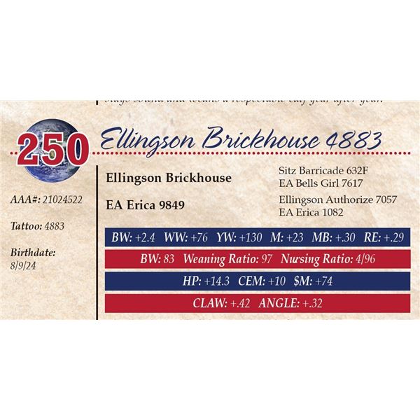 Ellingson Brickhouse 4883